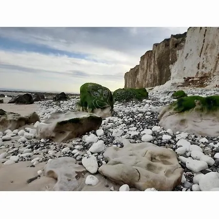 Apartment Les Pieds Dans La